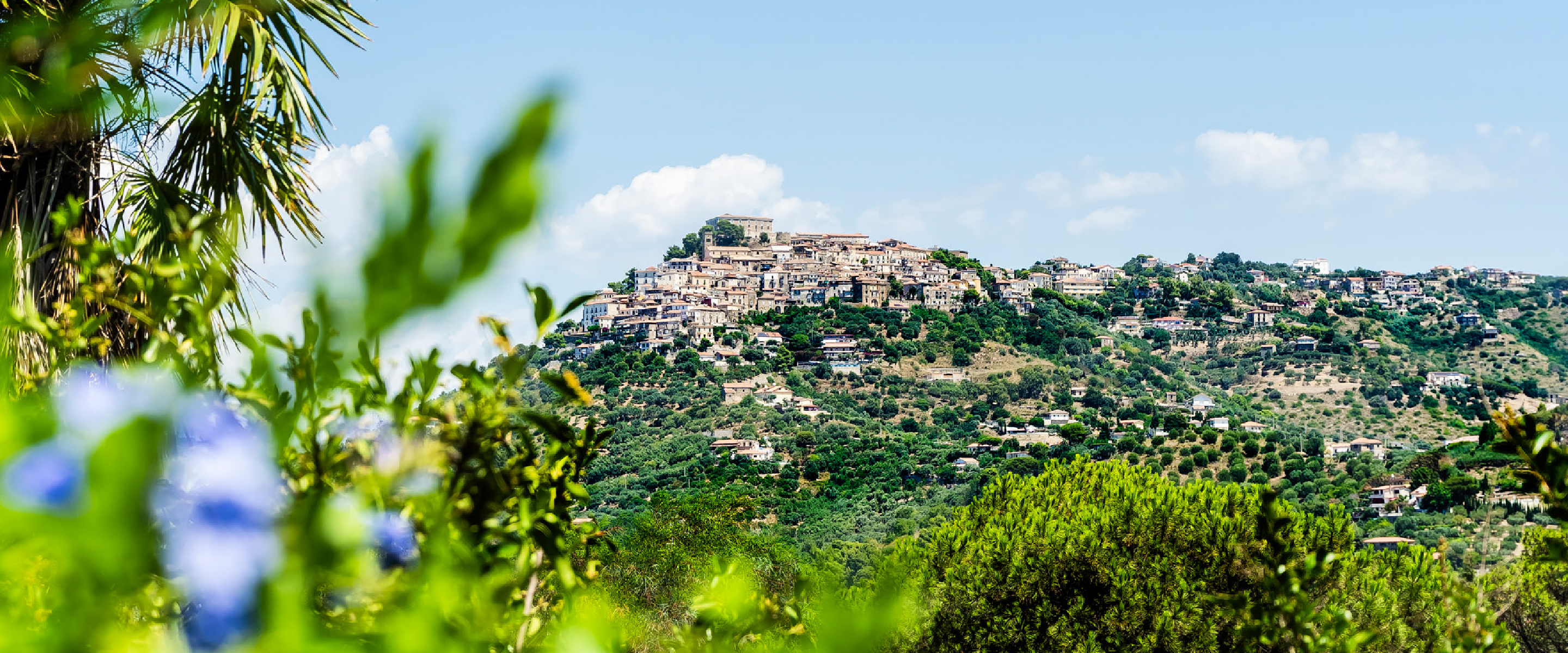 Specialità della cucina di Giacaranda Garden